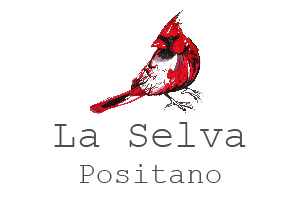 LA SELVA POSITANO